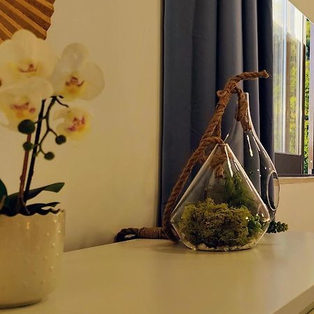 Stylish And Elegant Studio - Best View And Location In Coimbra Downton Bagian luar foto