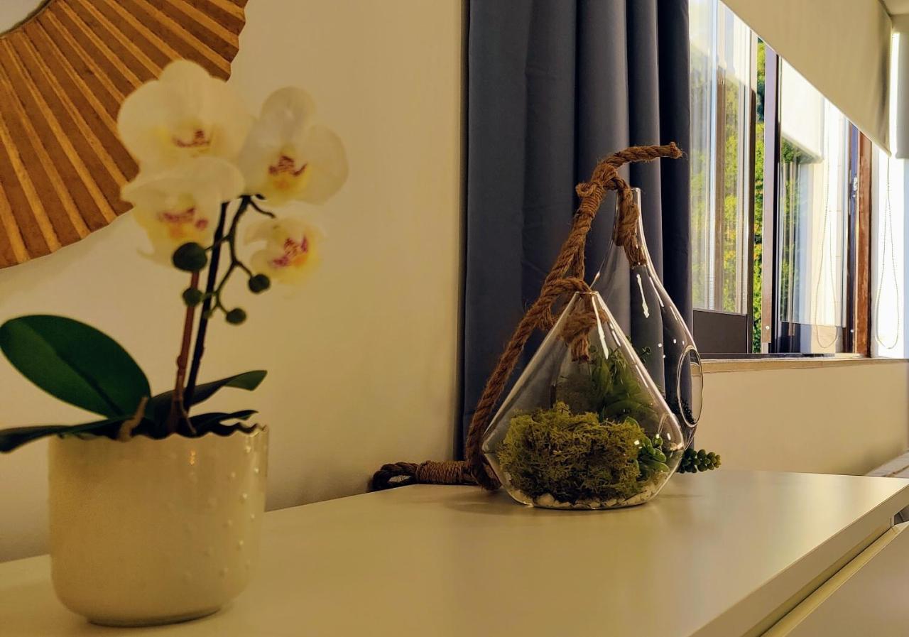 Stylish And Elegant Studio - Best View And Location In Coimbra Downton Bagian luar foto